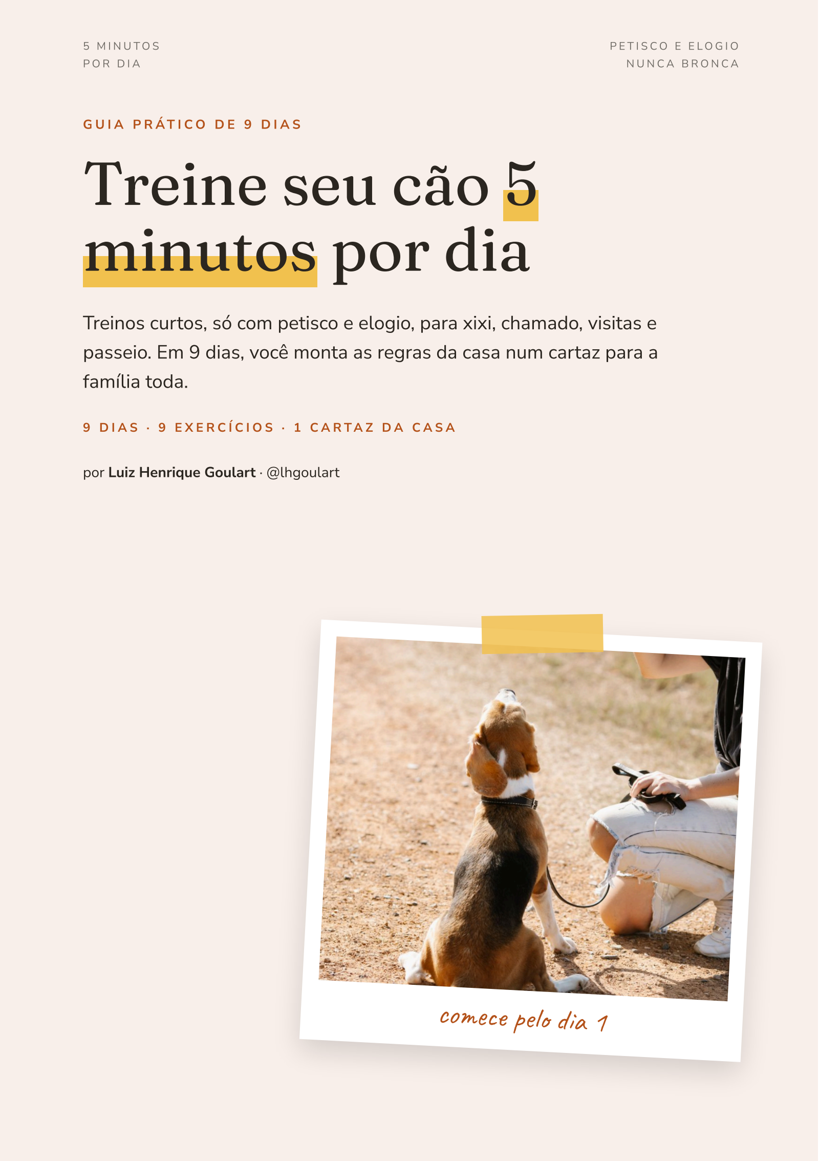 Treine seu cão 5 minutos por dia