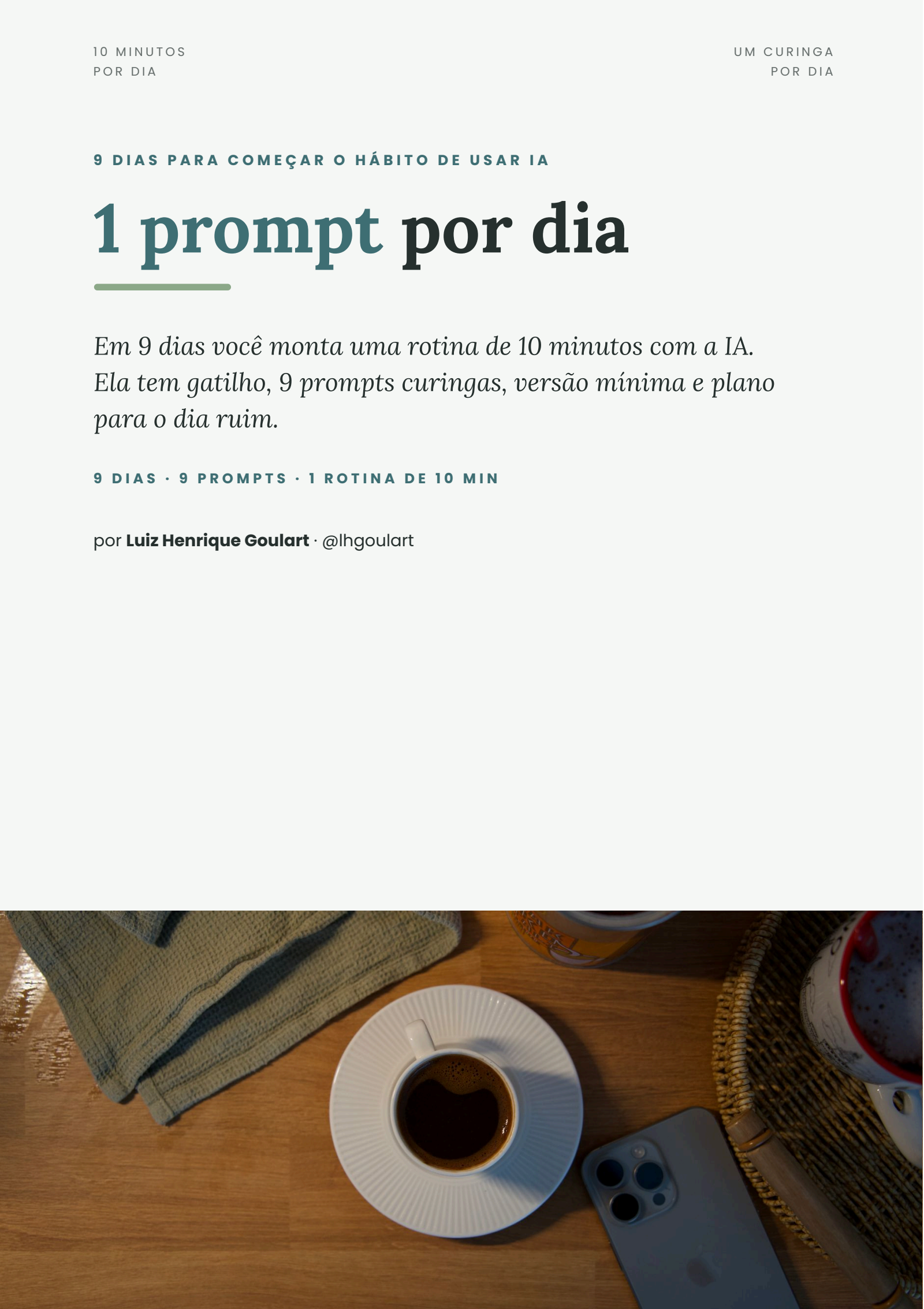 1 prompt por dia